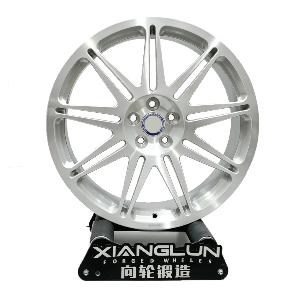HRE Style Multi-Spoke Forged Wheels | Brushed Silver Custom Alloy Rims for Luxury & Performance Vehicles